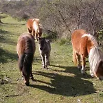 Vakantievilla Het Dunehuys * De Panne