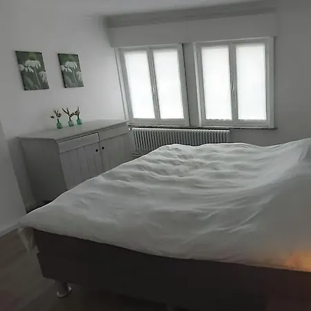 Vakantievilla Het Dunehuys デ パンネ