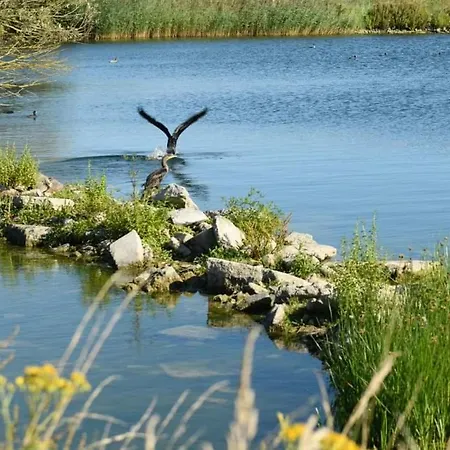 Vakantievilla Het Dunehuys Villa