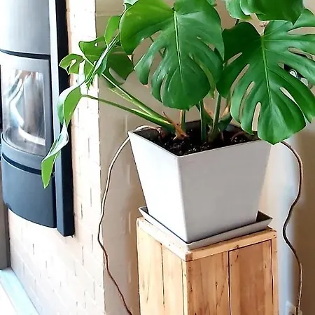 Vakantievilla Het Dunehuys Villa *