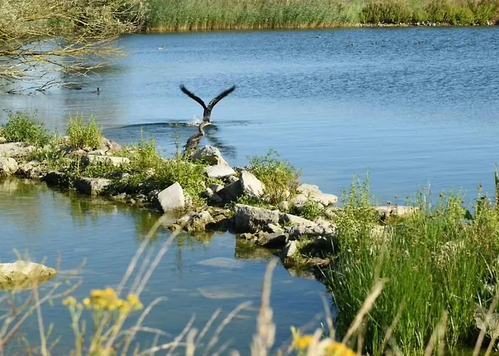 Vakantievilla Het Dunehuys Willa