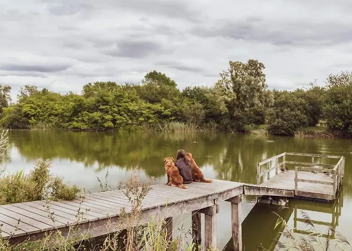 Willa Vakantievilla Het Dunehuys *