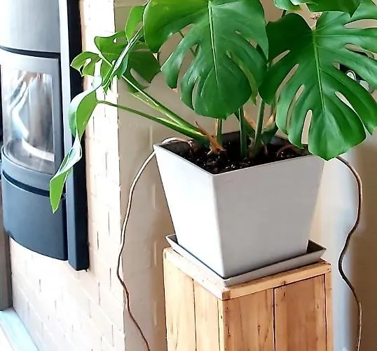 Vakantievilla Het Dunehuys Willa *